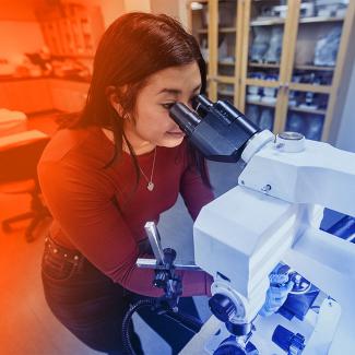 Student using microscope in lab
