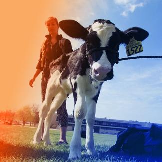 agriculture