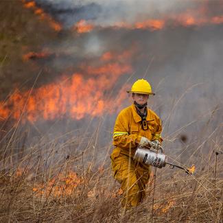 controlled burns