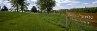 Solar array and prairie