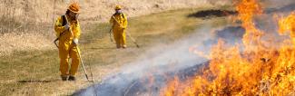 Students doing controlled burn