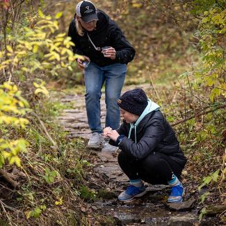 Students doing ecology work outdoors