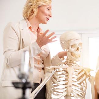 Person studying skeleton