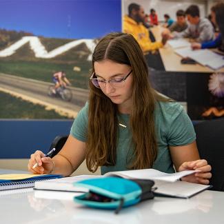 Student studying on campus