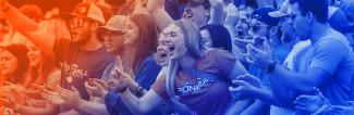 fans at football game