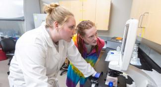 UW-Platteville students collaborate on research in the molecular lab.