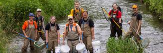 UW-Platteville students stand in Rountree Branch Stream as they begin a fish sample