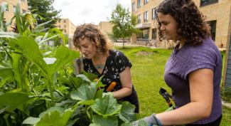 A UW-Platteville faculty and student work together to maintain campus green space.