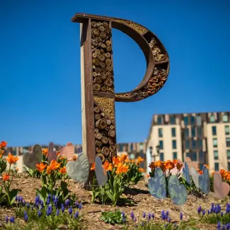  Insect hotel in shape of Platteville 'P' with residence hall in the background