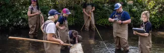 Group of people conducting water quality testing in a stream while wearing waders and using sampling equipment.