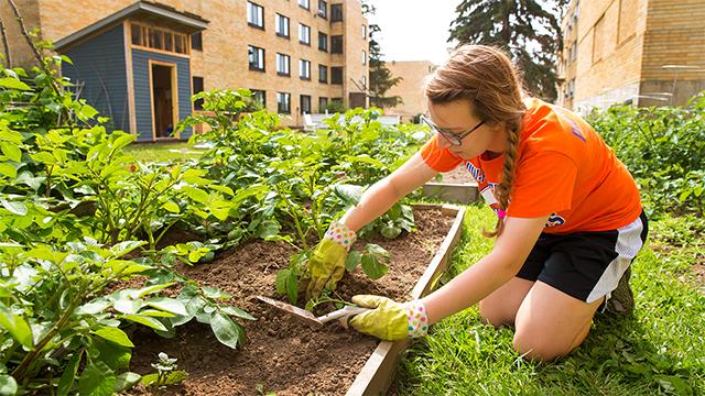 student working in the edible garden